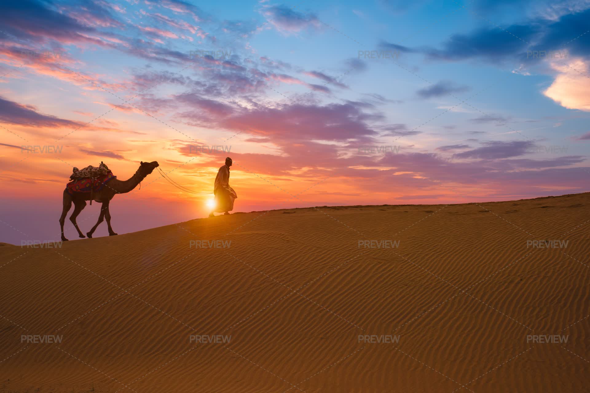 Thar, Rajasthan — India